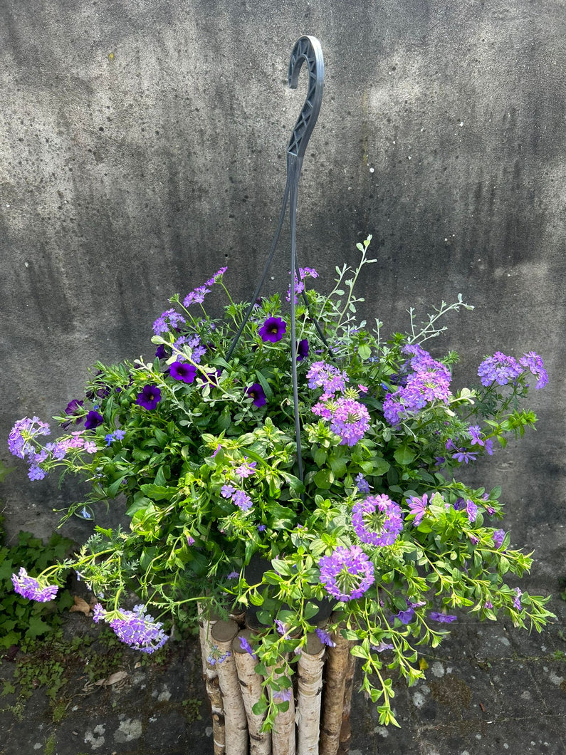 Hangpot zomer bloeiers | diverse combinaties - Bloemenatelier Han Fokkink